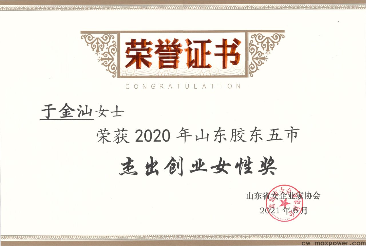 喜報(bào)！于金汕總經(jīng)理榮獲2020年山東膠東五市杰出創(chuàng)業(yè)女性獎(jiǎng)(圖2)